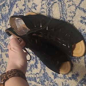 earth camellia cahoon